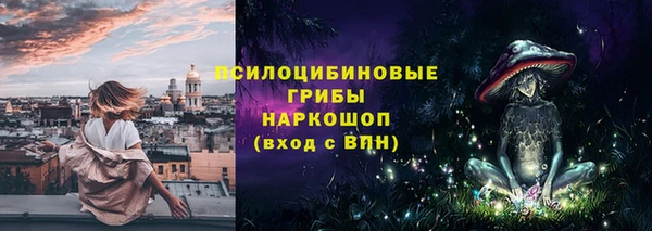 круглые Абаза